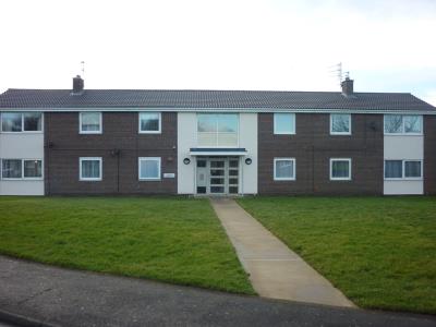 Front view